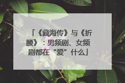 《藏海传》与《折腰》：男频剧、女频剧都在“爱”什么