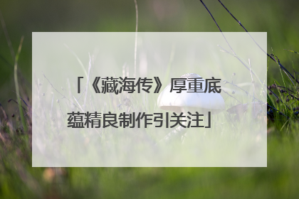 《藏海传》厚重底蕴精良制作引关注