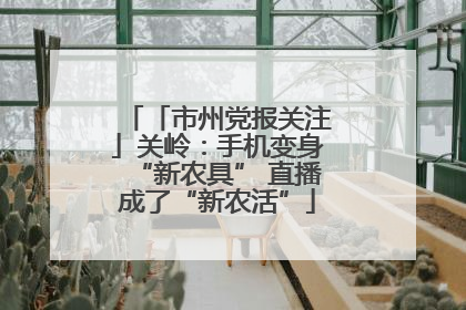 「市州党报关注」关岭：手机变身“新农具” 直播成了“新农活”