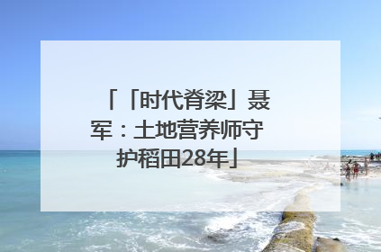 「时代脊梁」聂军：土地营养师守护稻田28年