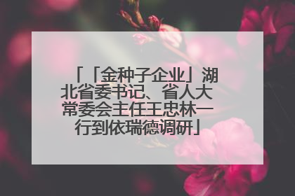 「金种子企业」湖北省委书记、省人大常委会主任王忠林一行到依瑞德调研