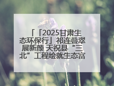 「2025甘肃生态环保行」祁连叠翠展新颜 天祝县“三北”工程绘就生态富民双赢画卷