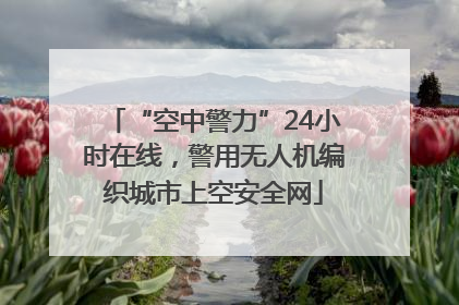 “空中警力”24小时在线，警用无人机编织城市上空安全网