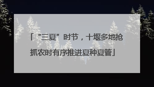 “三夏”时节，十堰多地抢抓农时有序推进夏种夏管