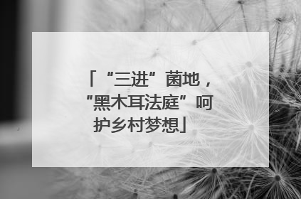 “三进”菌地，“黑木耳法庭”呵护乡村梦想