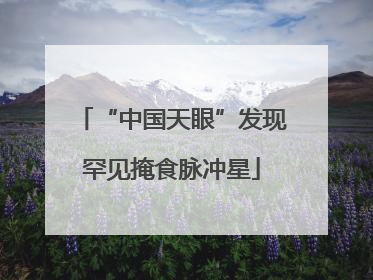 “中国天眼”发现罕见掩食脉冲星