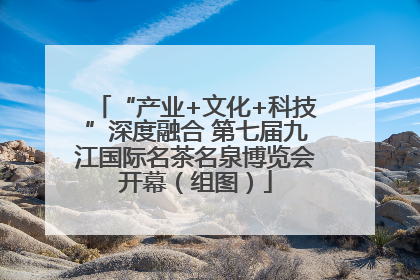 “产业+文化+科技”深度融合 第七届九江国际名茶名泉博览会开幕（组图）