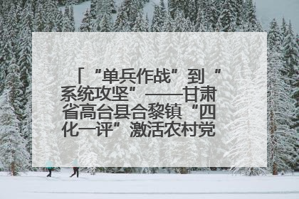 “单兵作战”到“系统攻坚”——甘肃省高台县合黎镇“四化一评”激活农村党员管理新引擎