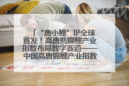 “唐小鲤”IP全球首发！高唐携锦鲤产业指数布局数字赛道——中国高唐锦鲤产业指数暨“唐小鲤”IP全球首发仪式在杭州举行