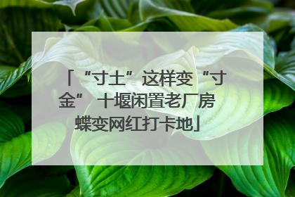 “寸土”这样变“寸金” 十堰闲置老厂房蝶变网红打卡地
