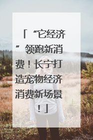 “它经济”领跑新消费！长宁打造宠物经济消费新场景！