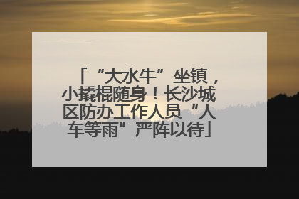“大水牛”坐镇，小撬棍随身！长沙城区防办工作人员“人车等雨”严阵以待