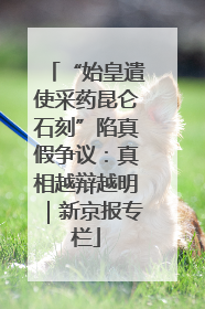 “始皇遣使采药昆仑石刻”陷真假争议：真相越辩越明｜新京报专栏