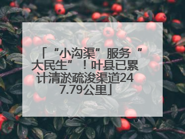 “小沟渠”服务“大民生”！叶县已累计清淤疏浚渠道247.79公里