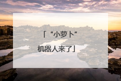 “小萝卜”机器人来了