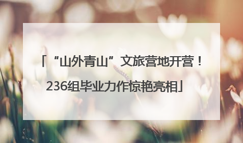 “山外青山”文旅营地开营！236组毕业力作惊艳亮相