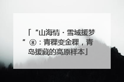 “山海情・雪域援梦”⑧：青稞变金稞，青岛援藏的高原样本
