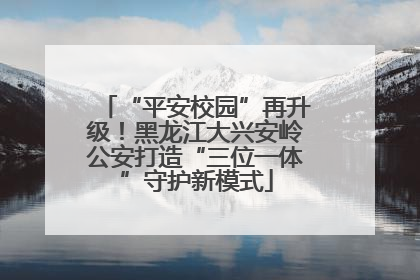 “平安校园”再升级！黑龙江大兴安岭公安打造“三位一体”守护新模式