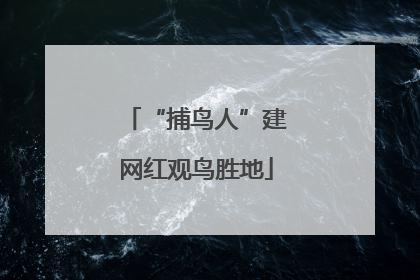 “捕鸟人”建网红观鸟胜地