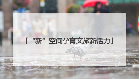“新”空间孕育文旅新活力