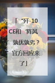 “歼-10CE和‘阵风’孰优孰劣？”官方回应来了
