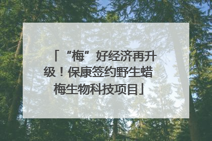 “梅”好经济再升级！保康签约野生蜡梅生物科技项目