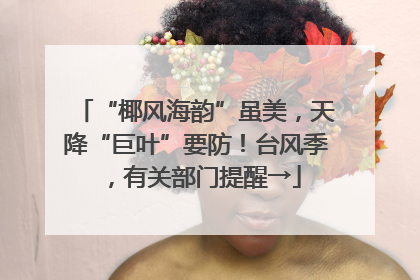 “椰风海韵”虽美，天降“巨叶”要防！台风季，有关部门提醒→
