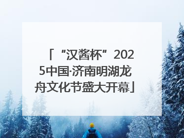 “汉酱杯”2025中国·济南明湖龙舟文化节盛大开幕