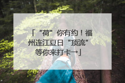 “荷”你有约！福州连江夏日“顶流”等你来打卡→