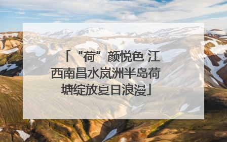“荷”颜悦色 江西南昌水岚洲半岛荷塘绽放夏日浪漫