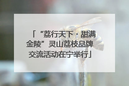 “荔行天下・甜满金陵”灵山荔枝品牌交流活动在宁举行