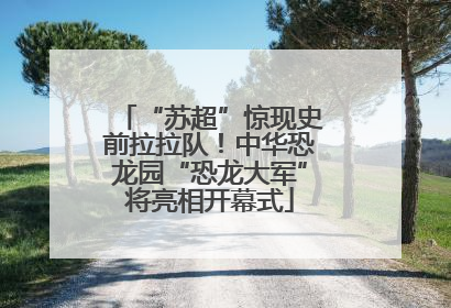 “苏超”惊现史前拉拉队！中华恐龙园“恐龙大军”将亮相开幕式