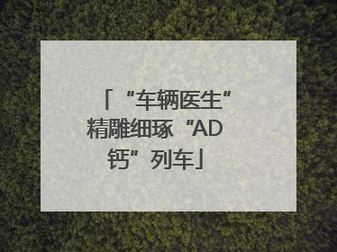 “车辆医生”精雕细琢“AD钙”列车