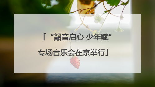 “韶音启心 少年赋”专场音乐会在京举行
