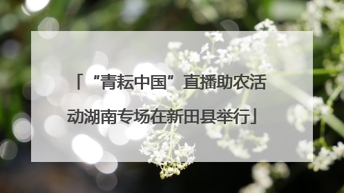 “青耘中国”直播助农活动湖南专场在新田县举行