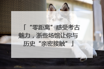 “零距离”感受考古魅力，浙些场馆让你与历史“亲密接触”