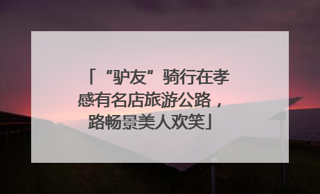 “驴友”骑行在孝感有名店旅游公路，路畅景美人欢笑