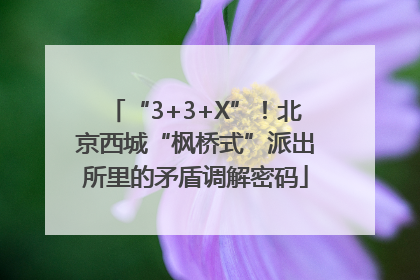 “3+3+X”！北京西城“枫桥式”派出所里的矛盾调解密码