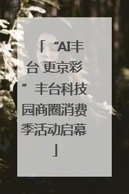 “AI丰台 更京彩”丰台科技园商圈消费季活动启幕