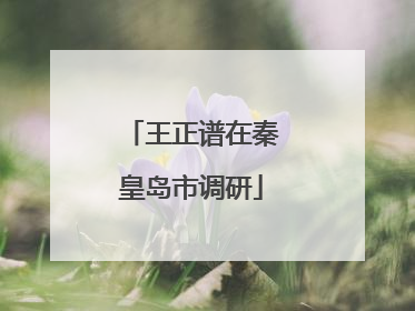 王正谱在秦皇岛市调研