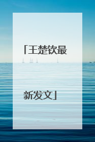 王楚钦最新发文