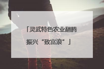 灵武特色农业翻腾振兴“致富浪”