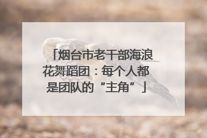 烟台市老干部海浪花舞蹈团：每个人都是团队的“主角”