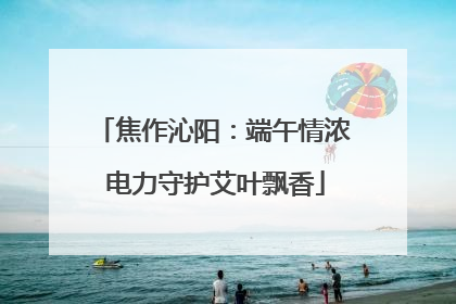 焦作沁阳：端午情浓 电力守护艾叶飘香