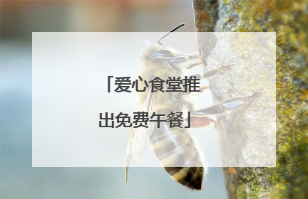 爱心食堂推出免费午餐