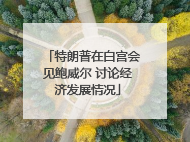 特朗普在白宫会见鲍威尔 讨论经济发展情况