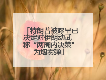 特朗普被曝早已决定对伊朗动武 称“两周内决策”为烟雾弹