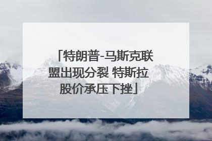 特朗普-马斯克联盟出现分裂 特斯拉股价承压下挫