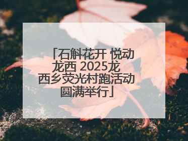石斛花开 悦动龙西 2025龙西乡荧光村跑活动圆满举行