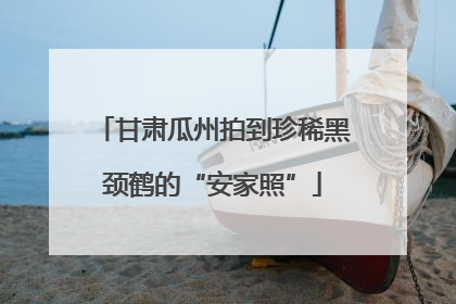 甘肃瓜州拍到珍稀黑颈鹤的“安家照”